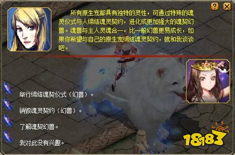 魂契幻兽培养方法_魔域魂契幻兽获取途径_《魔域》