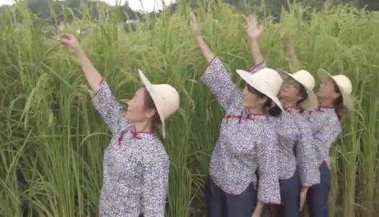 晚报|印度首艘国产航母入列 长沙种出2米2高巨型稻