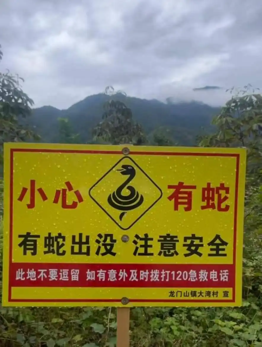 彭州龙门山镇大湾村蛇出没 告示牌 禁止放蛇_驴友登山发现大量“蛇出没”告示牌