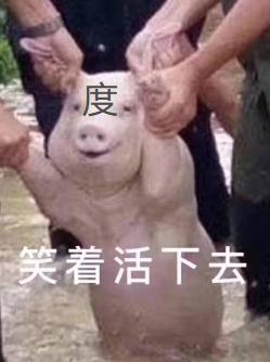 百度网盘用户激励计划 默认参与 上传资源_百度云不出现普通下载