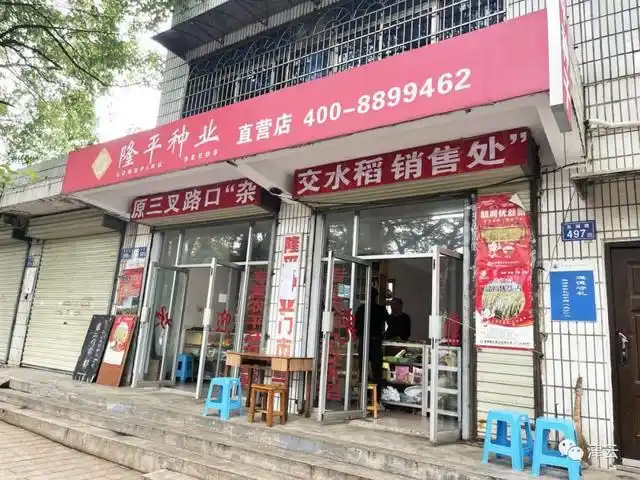 面筋爷爷酷似袁隆平走红 家属发声_袁隆平理发师 曹女士 袁隆平院士 家属 湖南杂交水稻研究中心 门卫 谭先生 隆平种业 种子店 店主 王先生 饮水思