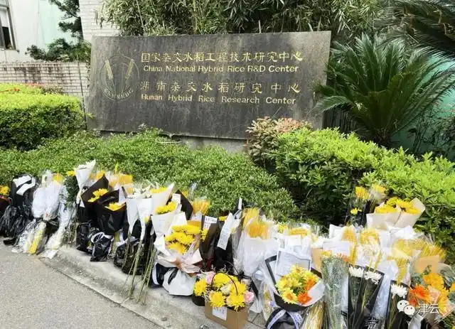 袁隆平理发师 曹女士 袁隆平院士 家属 湖南杂交水稻研究中心 门卫 谭先生 隆平种业 种子店 店主 王先生 饮水思_面筋爷爷酷似袁隆平走红 家属发声