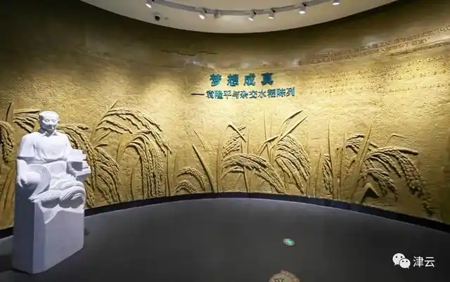 面筋爷爷酷似袁隆平走红 家属发声_袁隆平理发师 曹女士 袁隆平院士 家属 湖南杂交水稻研究中心 门卫 谭先生 隆平种业 种子店 店主 王先生 饮水思