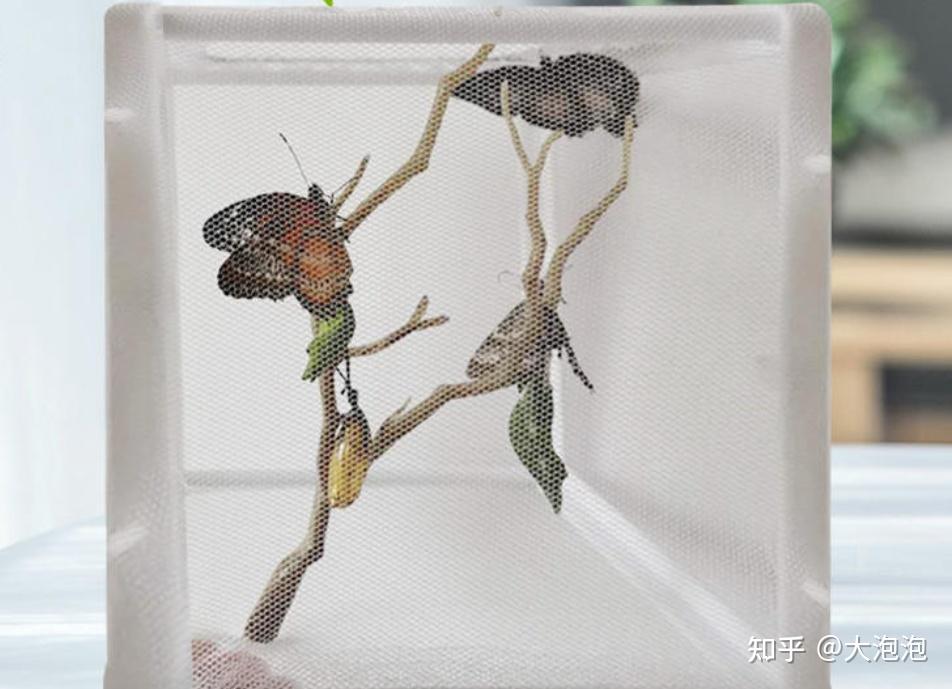 幼儿园家长进课堂 绘本教学活动设计 家长课堂互动技巧_家长会邀请函内容简单