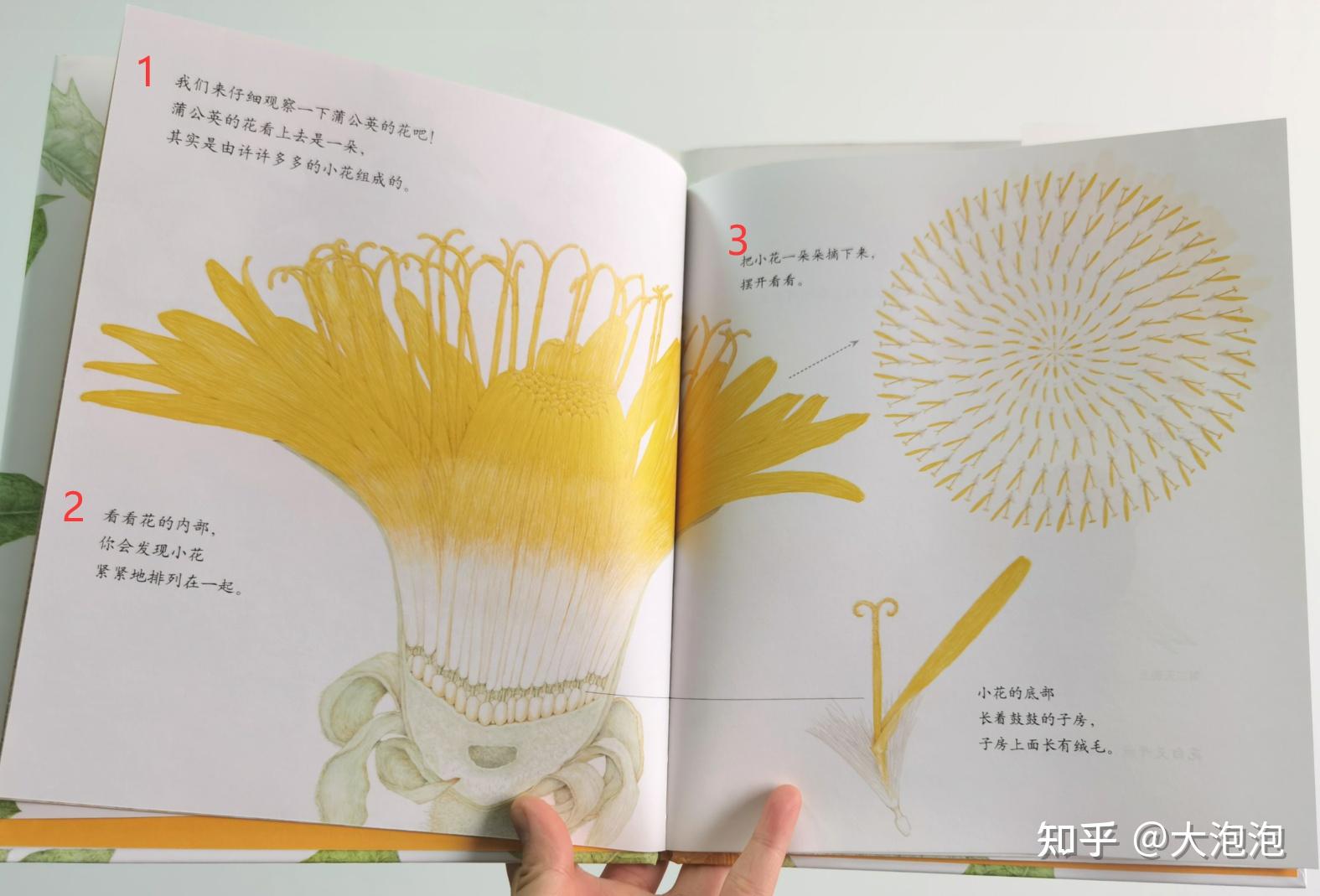 家长会邀请函内容简单_幼儿园家长进课堂 绘本教学活动设计 家长课堂互动技巧