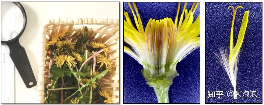 幼儿园家长进课堂 绘本教学活动设计 家长课堂互动技巧_家长会邀请函内容简单