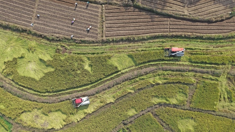 上海五一天气预报_上海五月天气情况_天气上海15天天气预报
