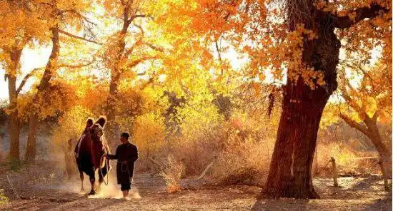 新疆南疆自驾游路线_新疆人口中的“不远”到底有多远_新疆南疆旅游线路攻略