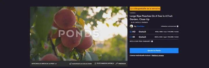 高清视频素材下载_免费视频素材网站_中国素材网免费下载