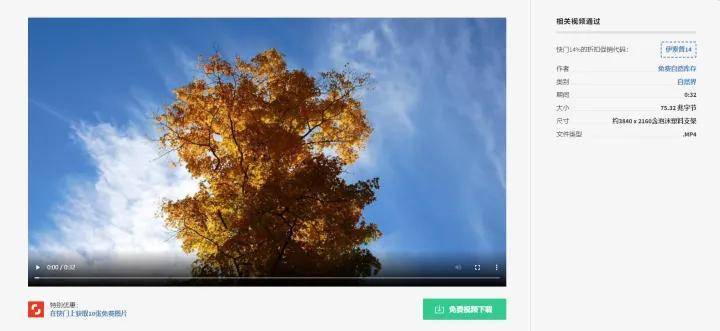 中国素材网免费下载_高清视频素材下载_免费视频素材网站
