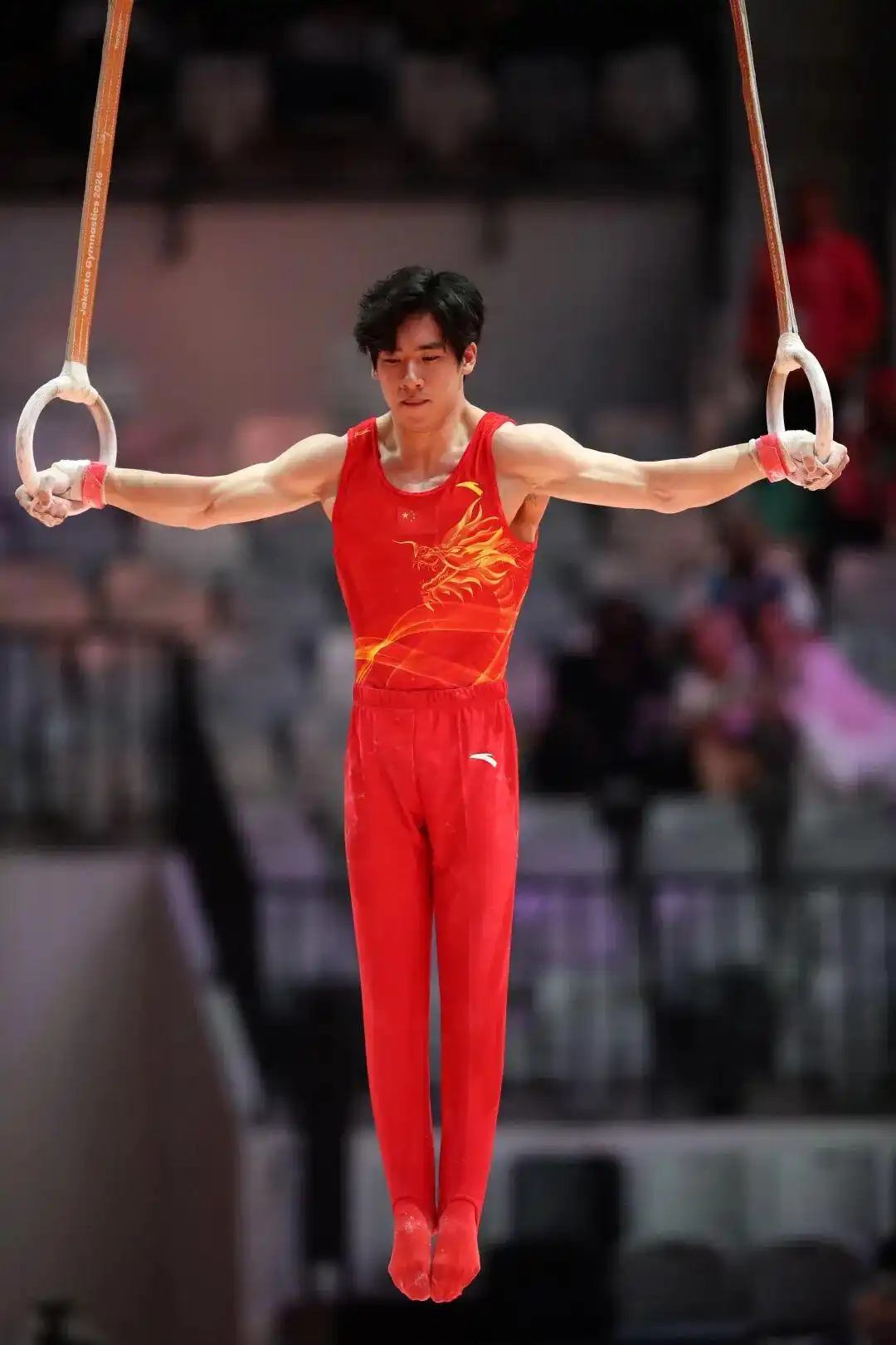 上海近期天气情况_上海天气查询_天气上海15天天气预报