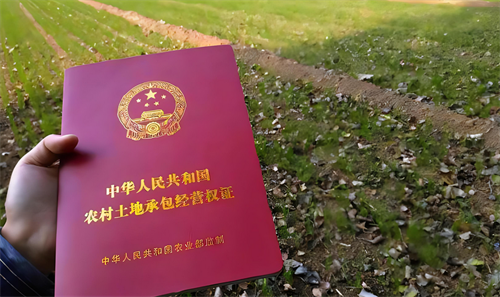 中国继承法土地继承顺序_父母不在了土地怎么继承_奶奶土地谁继承