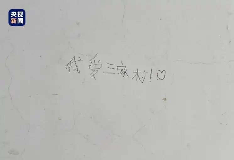河南三家村村长张桂芳_大学生村长爆改家乡故事_女大学生村官和老农民
