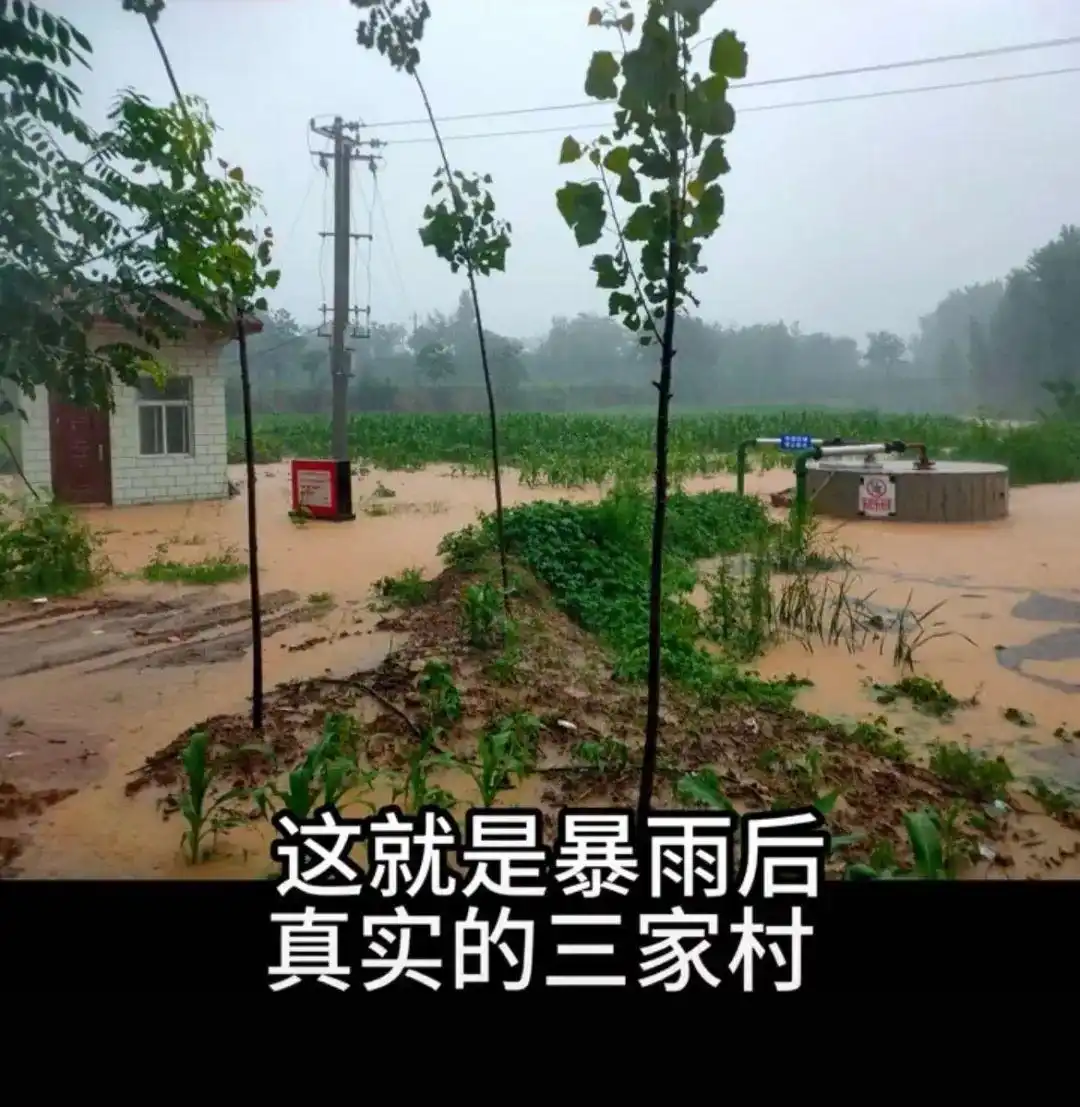 河南三家村村长张桂芳_女大学生村官和老农民_大学生村长爆改家乡故事