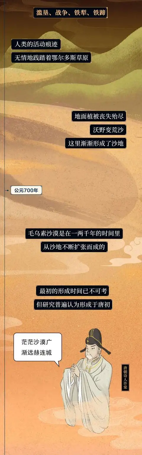 中国植树造林工程_中国消失的森林正“全盘复活”_全民参与种树