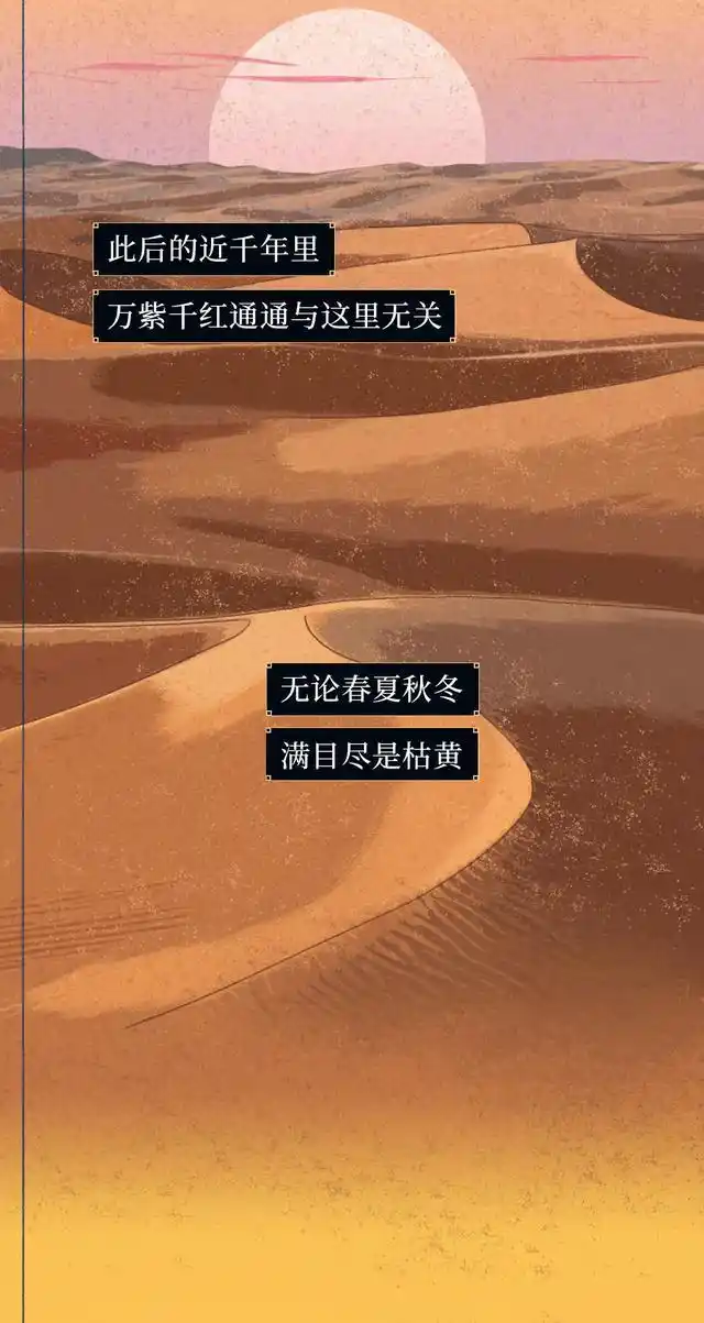中国植树造林工程_中国消失的森林正“全盘复活”_全民参与种树