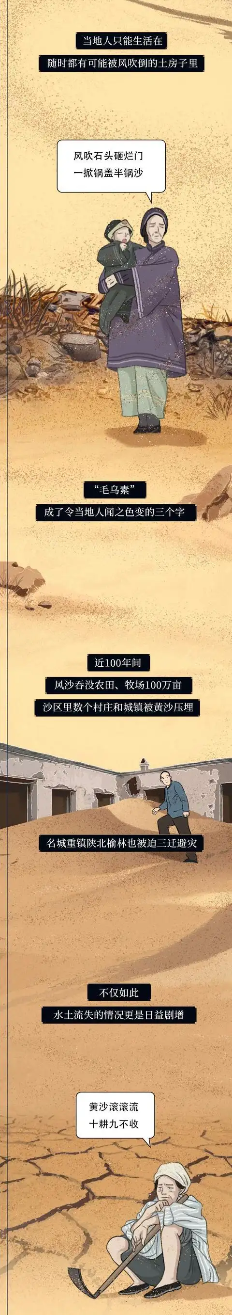 全民参与种树_中国植树造林工程_中国消失的森林正“全盘复活”