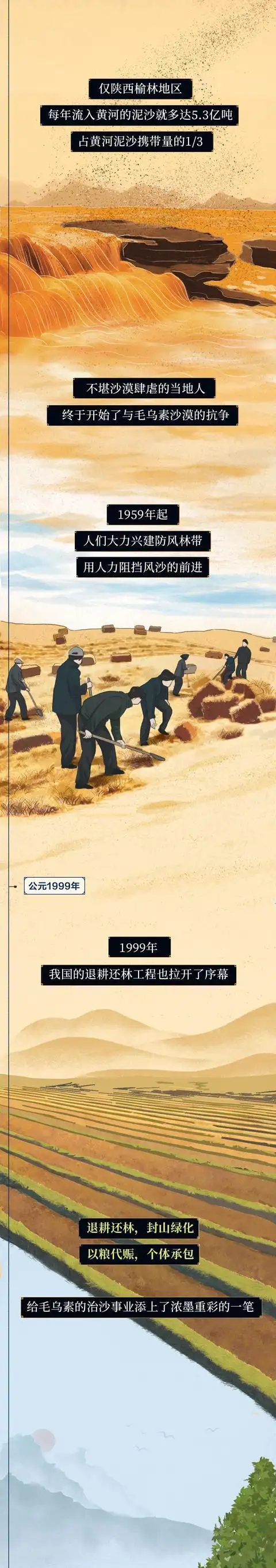 中国植树造林工程_中国消失的森林正“全盘复活”_全民参与种树