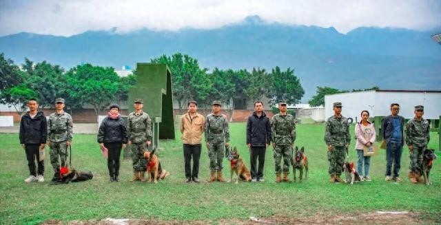 武警某部开展退役军犬免费社会领养工作，领养程序——