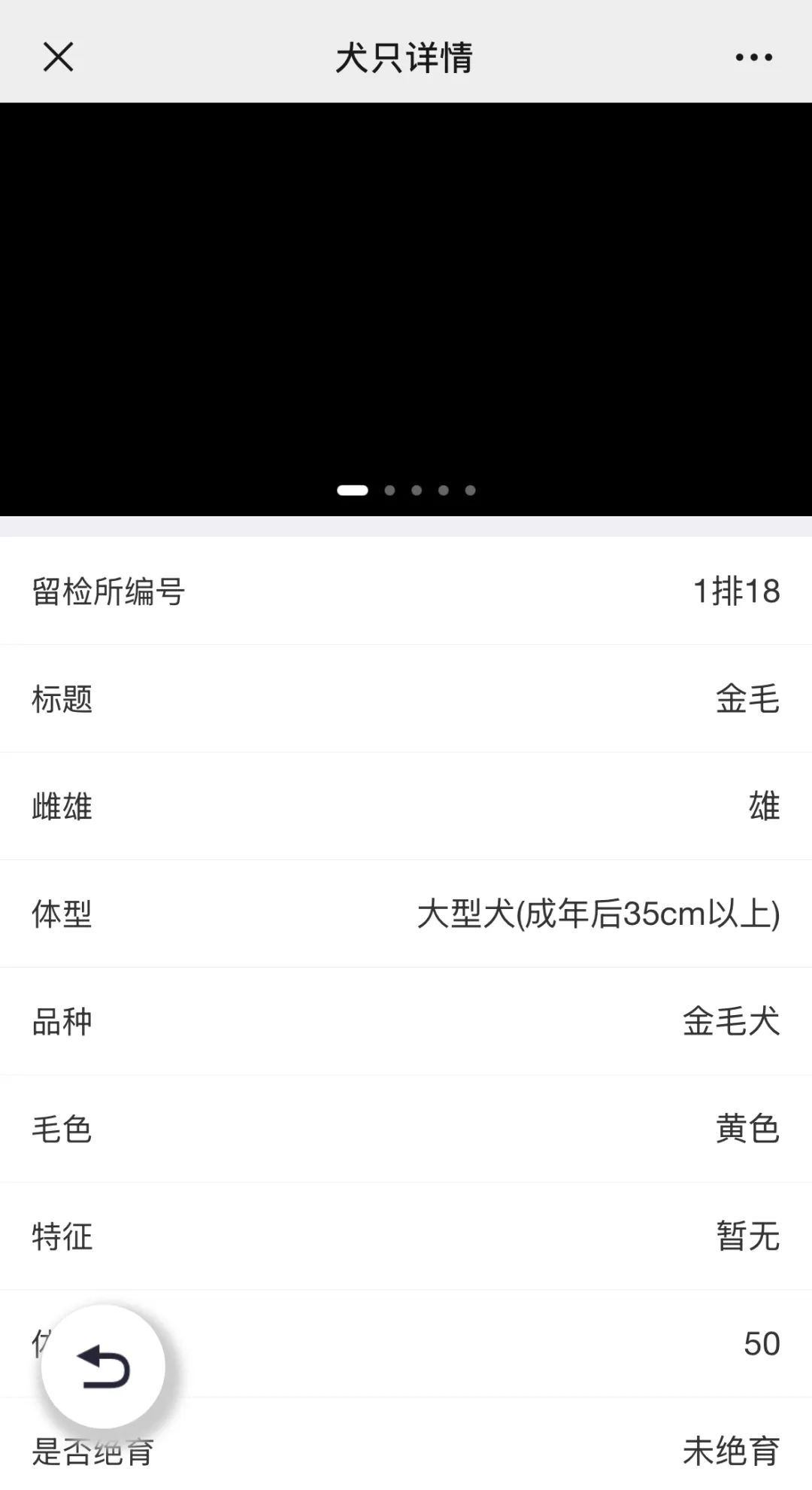 北京公安局待领养犬只信息查询_北京公安待领养犬只领养流程_北京免费领养宠物狗