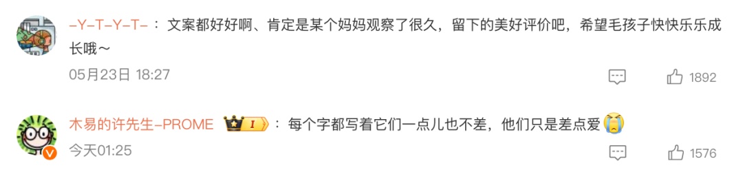 北京免费领养宠物狗_北京公安待领养犬只领养流程_北京公安局待领养犬只信息查询