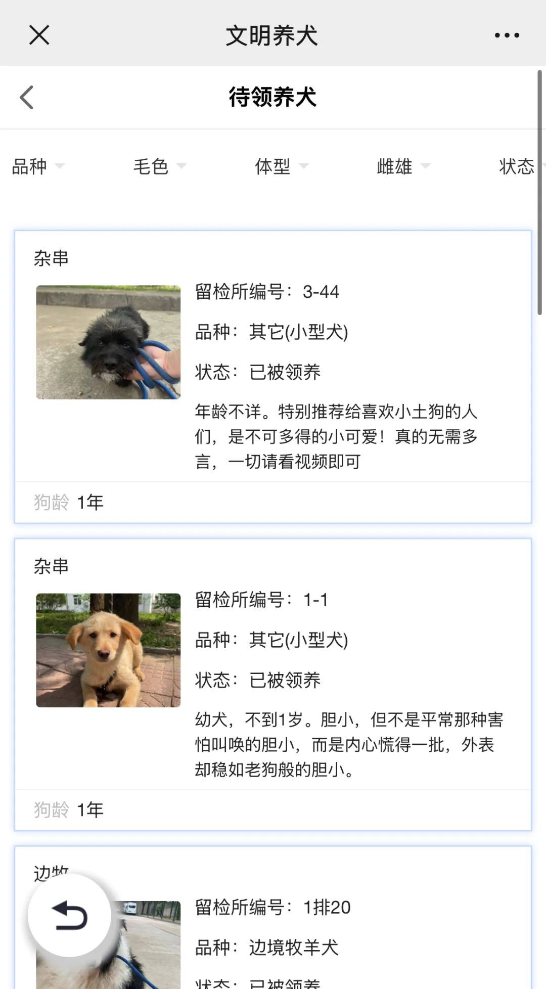 北京公安局待领养犬只信息查询_北京公安待领养犬只领养流程_北京免费领养宠物狗