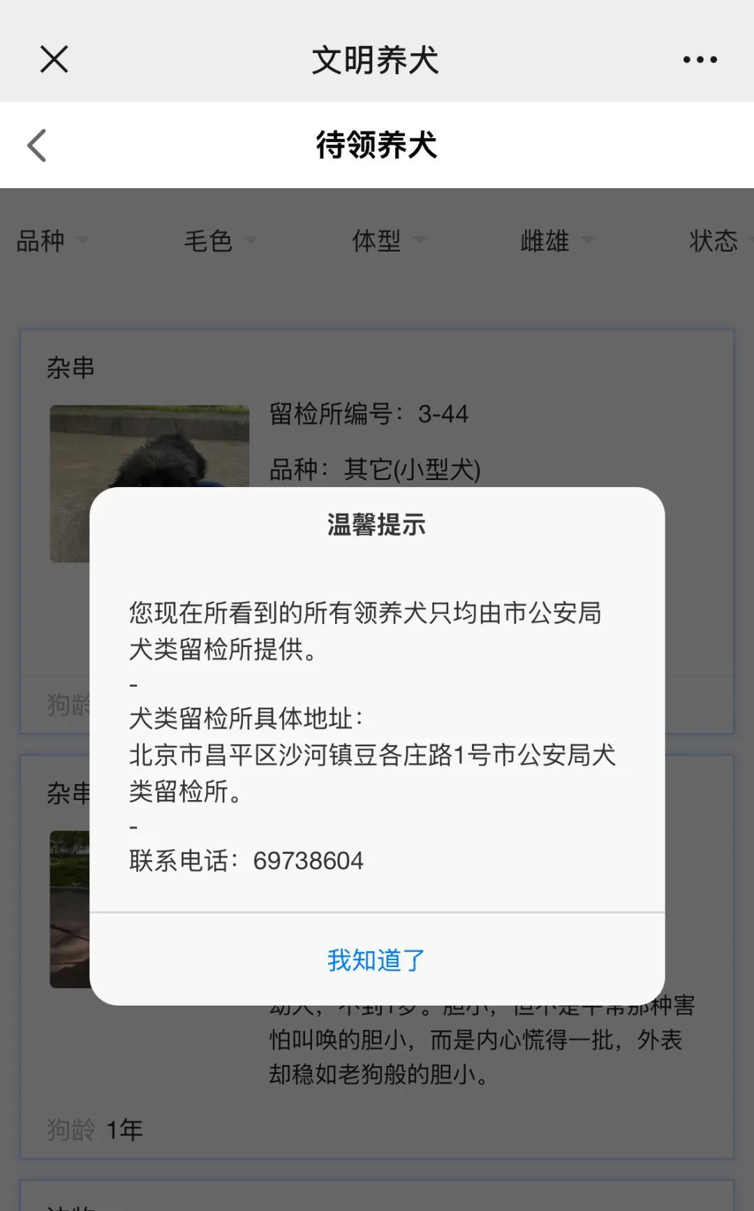 北京免费领养宠物狗_北京公安局待领养犬只信息查询_北京公安待领养犬只领养流程