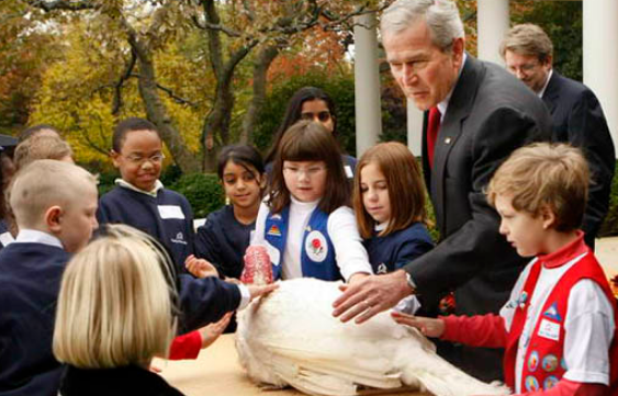 感恩节赦免火鸡的故事