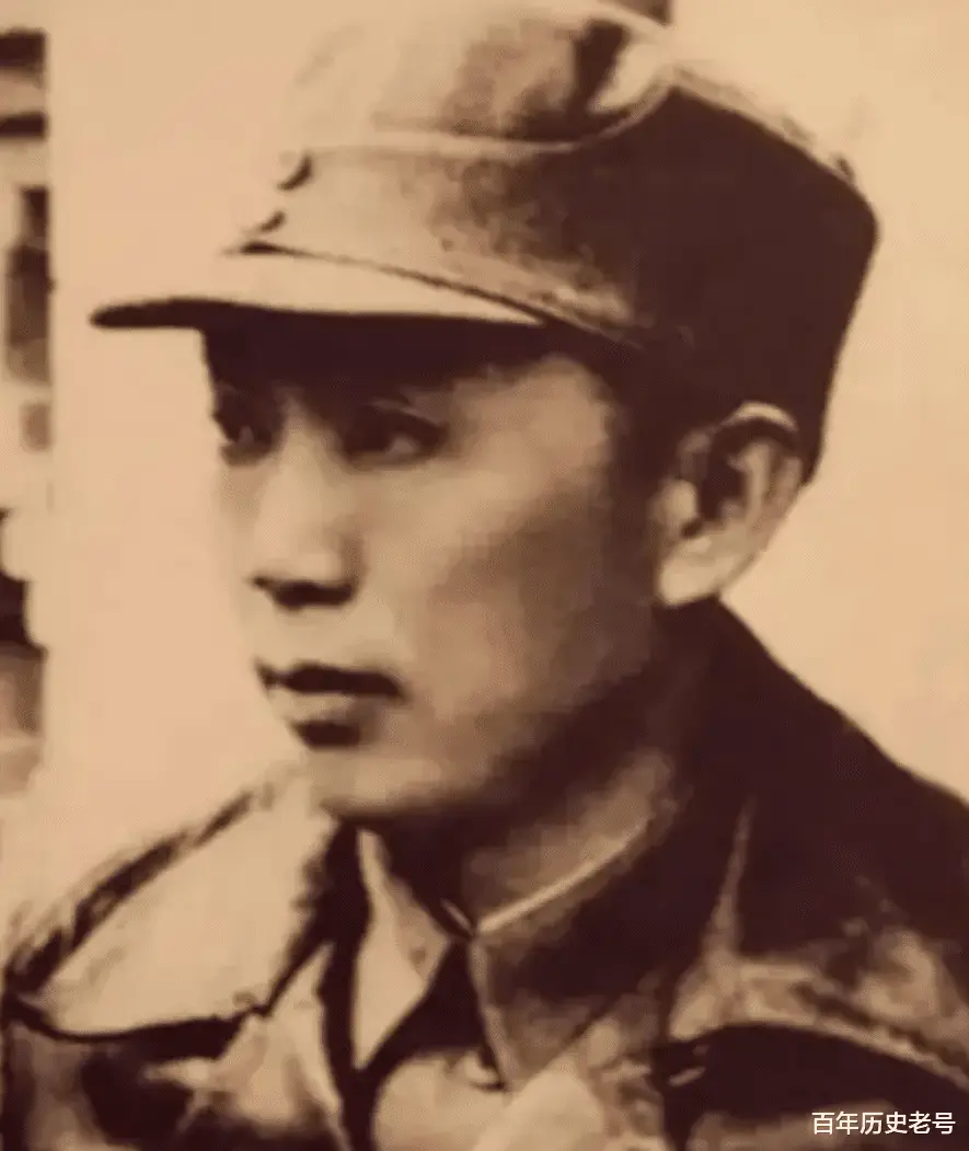 战斗精灵_精灵战斗的动画片叫什么_家养小精灵战斗