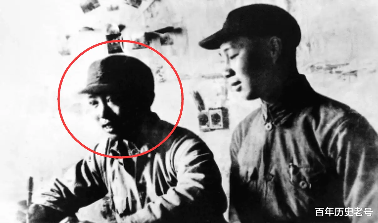 精灵战斗的动画片叫什么_战斗精灵_家养小精灵战斗