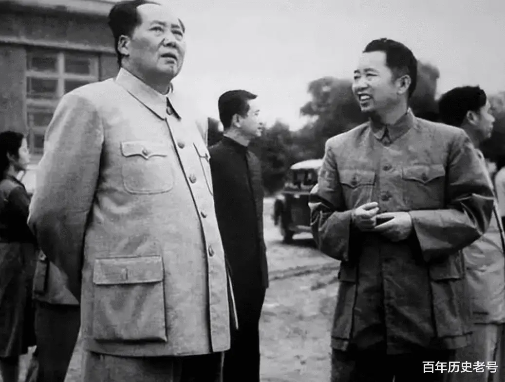 战斗精灵_家养小精灵战斗_精灵战斗的动画片叫什么