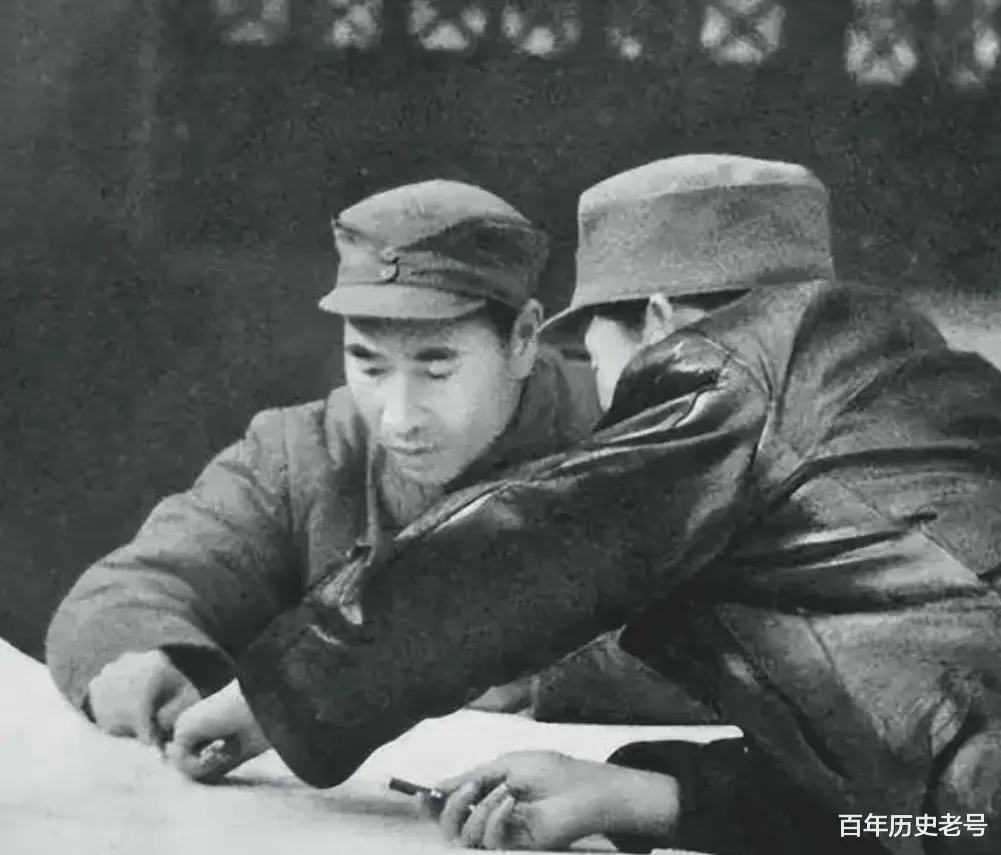 精灵战斗的动画片叫什么_家养小精灵战斗_战斗精灵