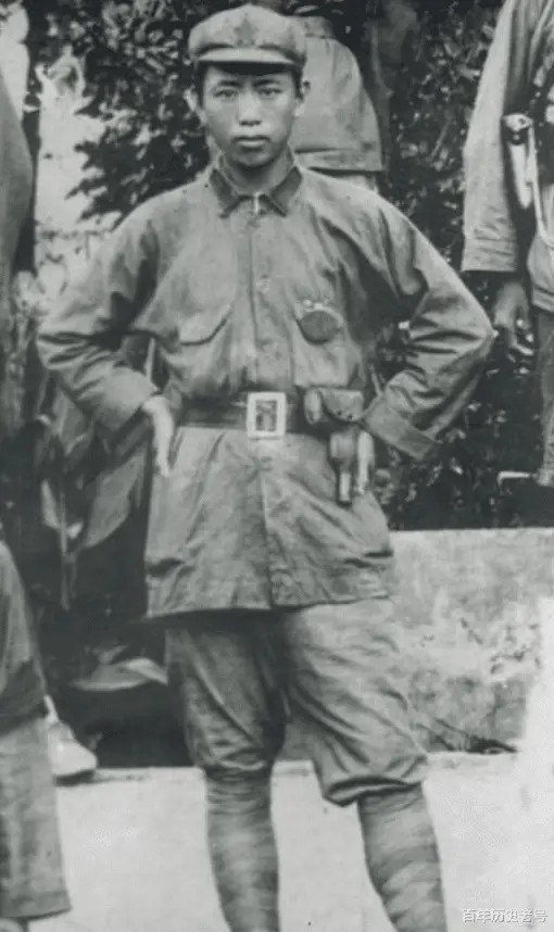 精灵战斗的动画片叫什么_家养小精灵战斗_战斗精灵