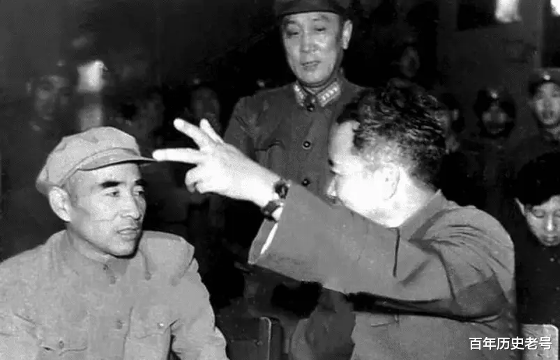 家养小精灵战斗_精灵战斗的动画片叫什么_战斗精灵