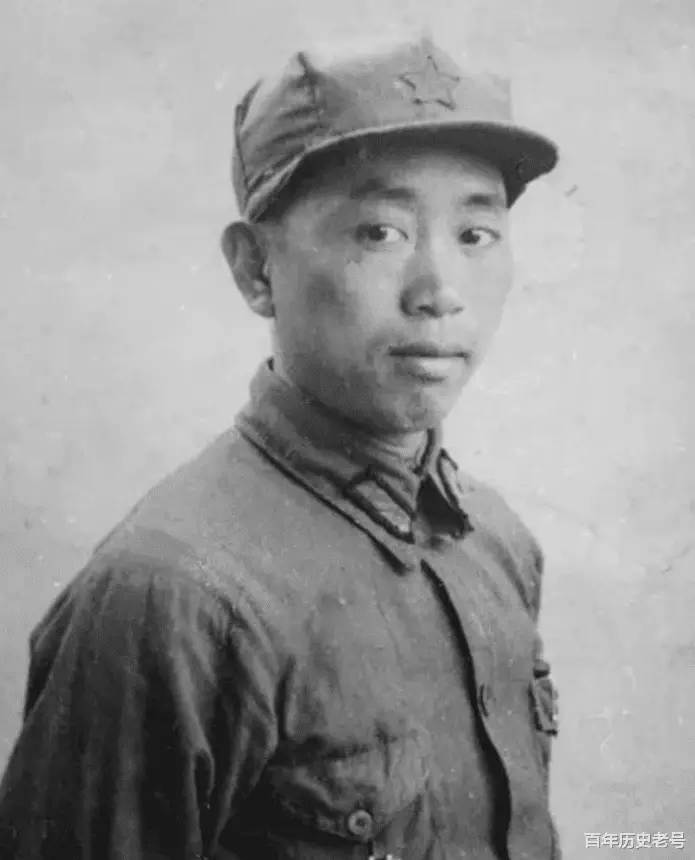 精灵战斗的动画片叫什么_战斗精灵_家养小精灵战斗