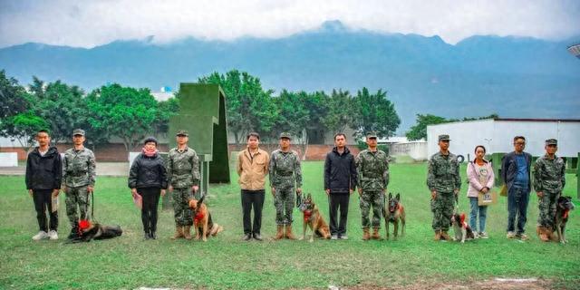 武警某部开展退役军犬免费社会领养工作，领养程序——