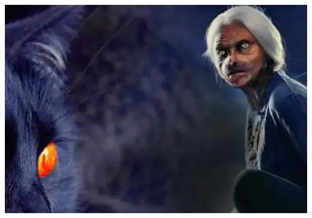 春晚灵异事件是真的吗_中国灵异事件盘点_十大灵异事件真相