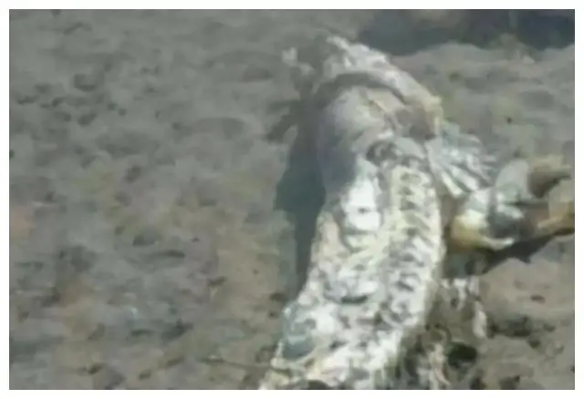 中国灵异事件盘点_春晚灵异事件是真的吗_十大灵异事件真相