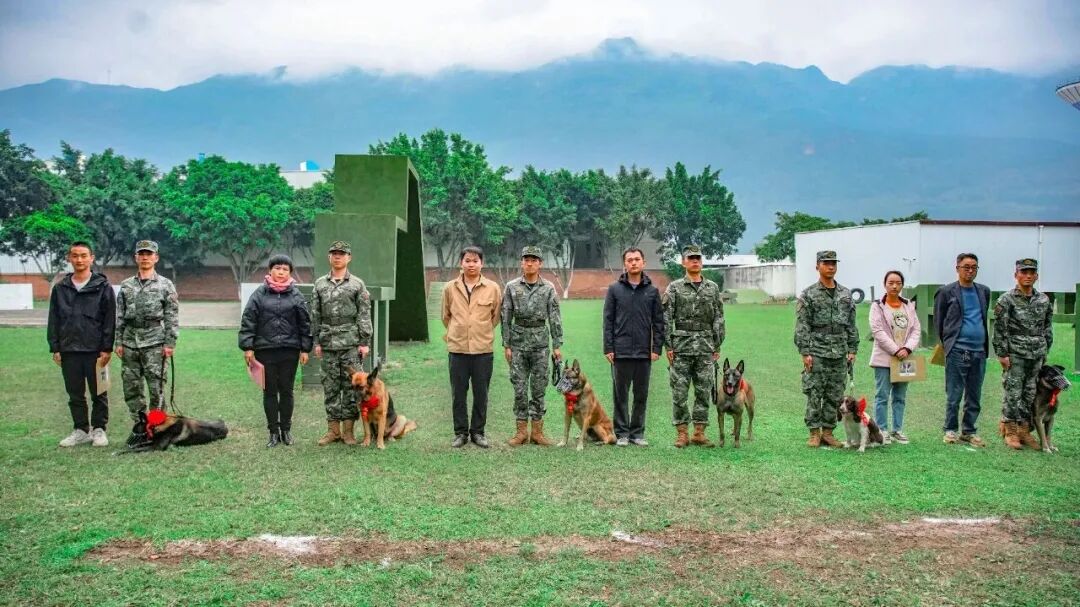 北京南京广州乌鲁木齐呼和浩特退役犬领养_北京免费领养宠物狗_退役军犬免费领养