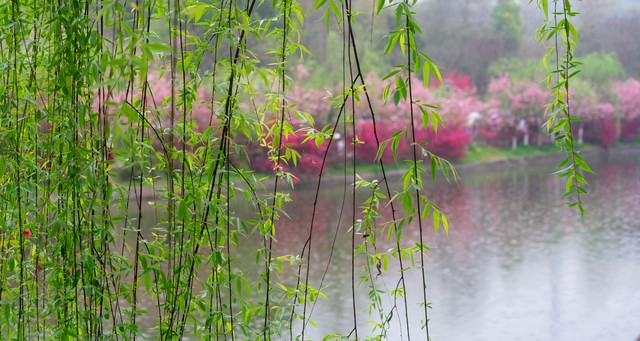 古诗词赏析——王维《送元二使安西》