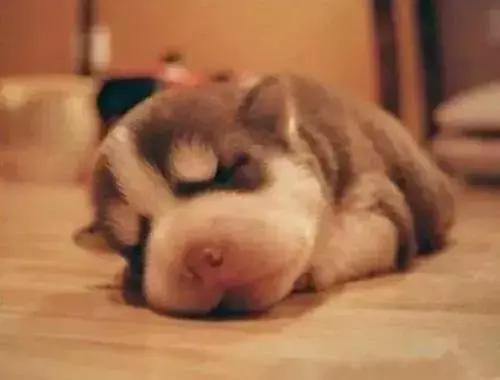 熬夜猝死_长期熬夜危害_人不喝水会死吗