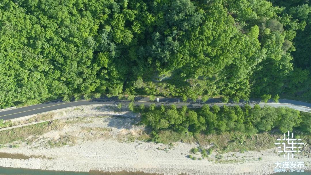 大连市民生实事项目_大连实时新闻_大连市教育医疗补助