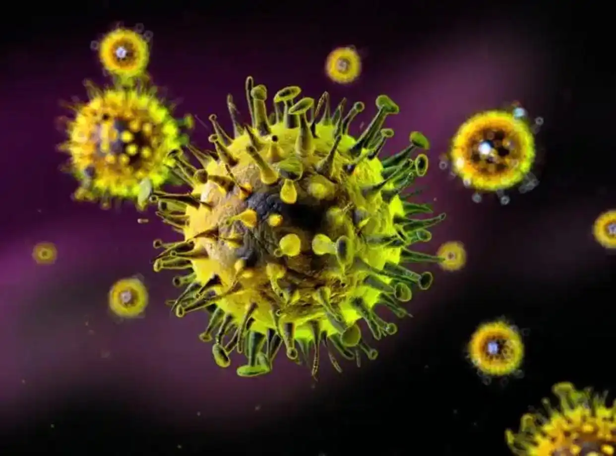 日本流感大流行_马来西亚流感疫情_日本流感疫情持续扩散