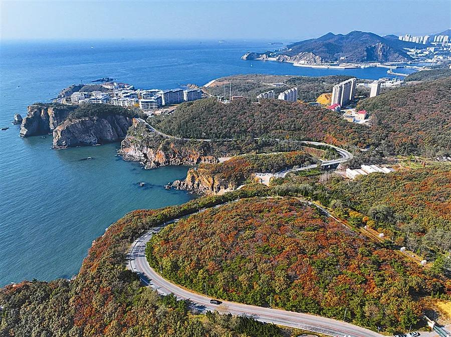 大连城市安居项目_大连民生实事项目_大连实时新闻