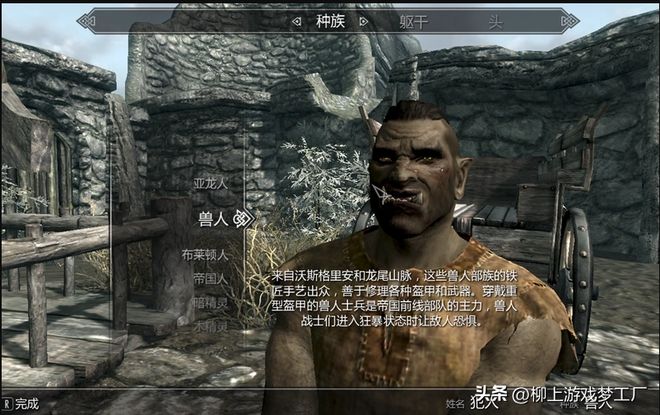 上古卷轴5特色玩法_上古卷轴5龙吼系统详解_上古卷轴5全种族介绍