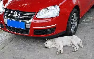 碰瓷党 行车记录仪 防范碰瓷_碰瓷党你应付的来