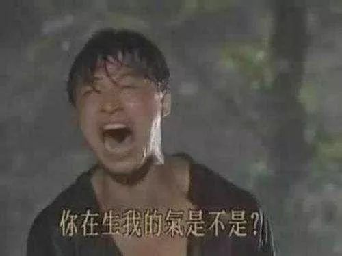 好看的台湾新闻节目_台湾电视剧抓马_台湾综艺节目抓马