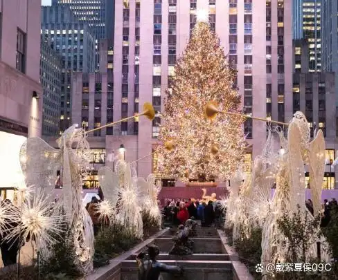 圣诞树起源德国传统_圣诞树英文_圣诞树寓意象征