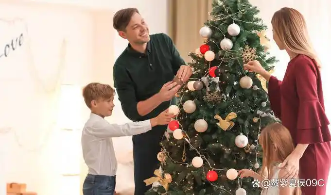圣诞树英文_圣诞树寓意象征_圣诞树起源德国传统