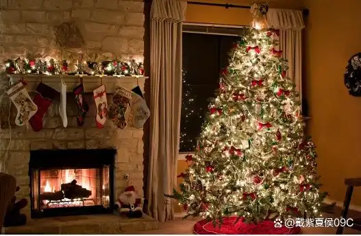 圣诞树英文_圣诞树起源德国传统_圣诞树寓意象征